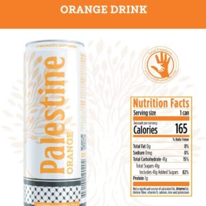 Palestine Orange_800x.jpg
